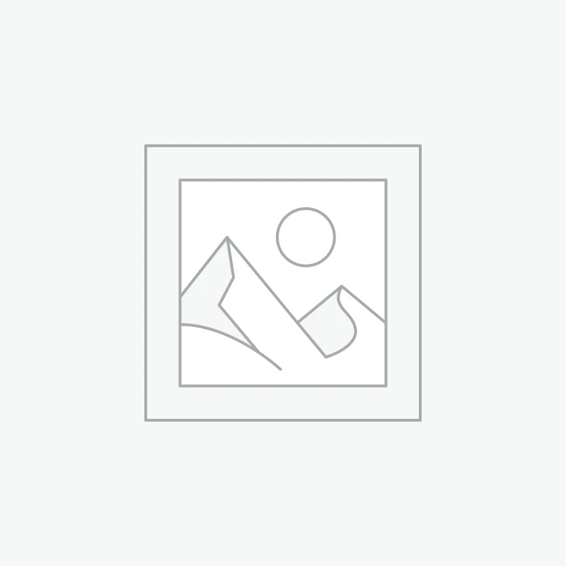 PMP Certification